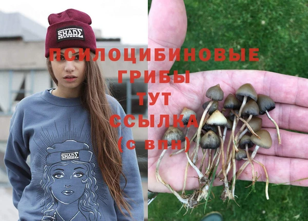 герыч Абдулино