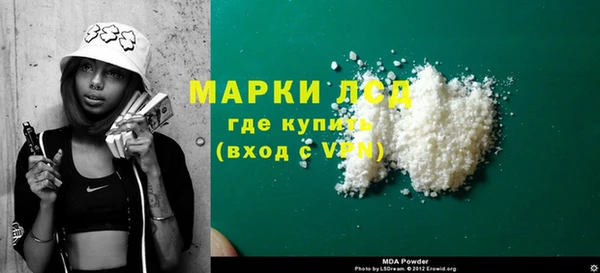 ECSTASY Алзамай