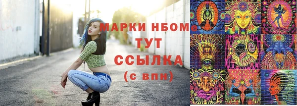 ECSTASY Алзамай