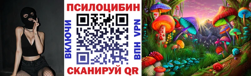 кракен сайт  закладка  Богородск  Галлюциногенные грибы MAGIC MUSHROOMS 