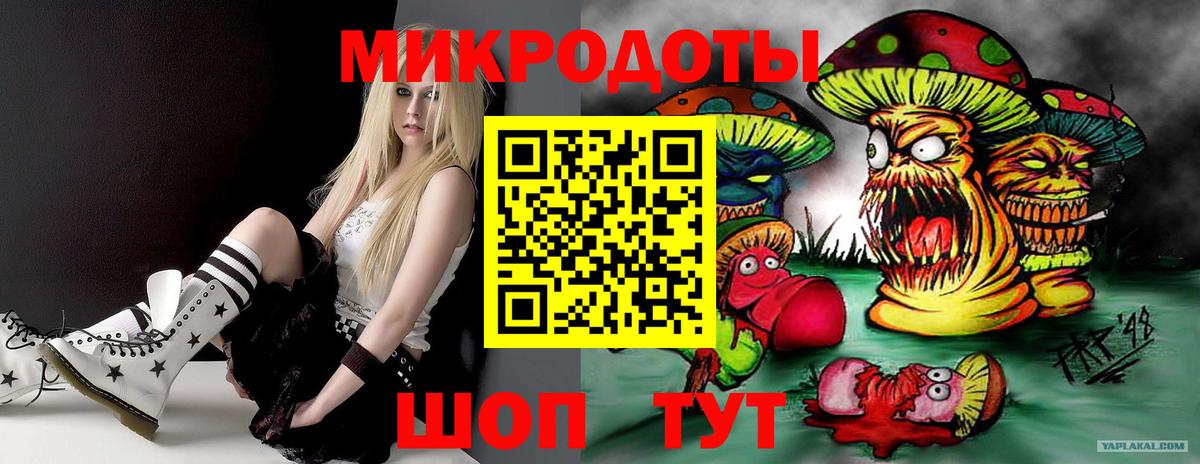 Галлюциногенные грибы Psilocybe Богородск